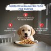 Chappi Chicken & Milk Dry Puppy Food (Limited Shelf Life) Dogs- Dry Food Chappi