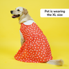 Skatrs All Hearts Printed Dress for Dogs and Cats (Red) Both-Clothing & Accessories Skatrs