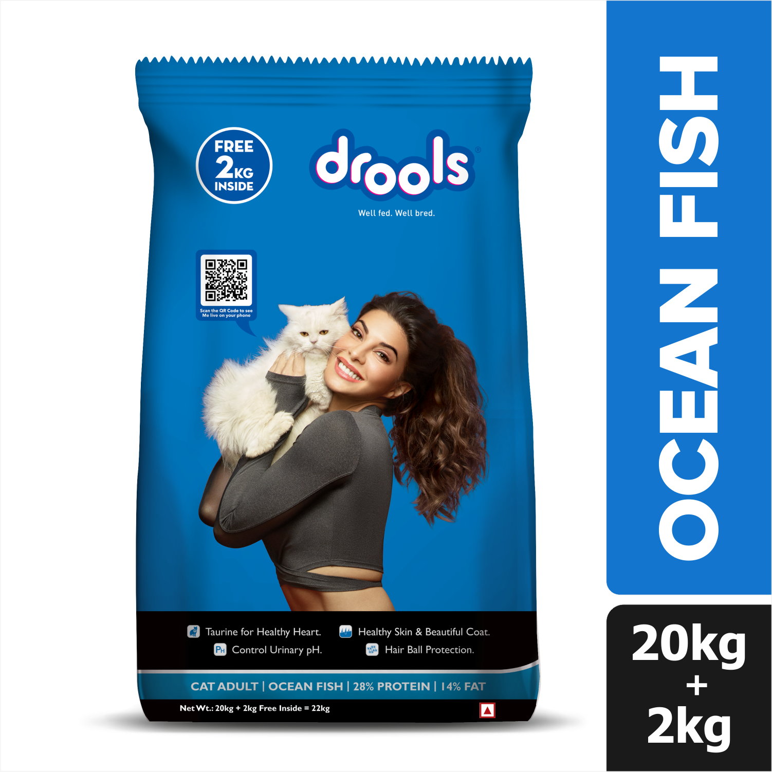 Buy Drools Ocean Fish Adult Cat Dry Food Online Supertails