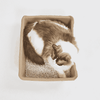 Barkbutler x Fofos Disposable Litter Box for Cats (Beige) Cats-Litter Barkbutler
