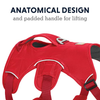 Ruffwear Webmaster Harness for Dogs (Red Currant) Dogs-Collar, Leashes, harnesses Ruffwear Dropship