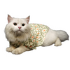 Pawgypets Heritage Summer Kurta for Dogs and Cats (Off White with Orange) Both-Clothing & Accessories Pawgypets Dropship M