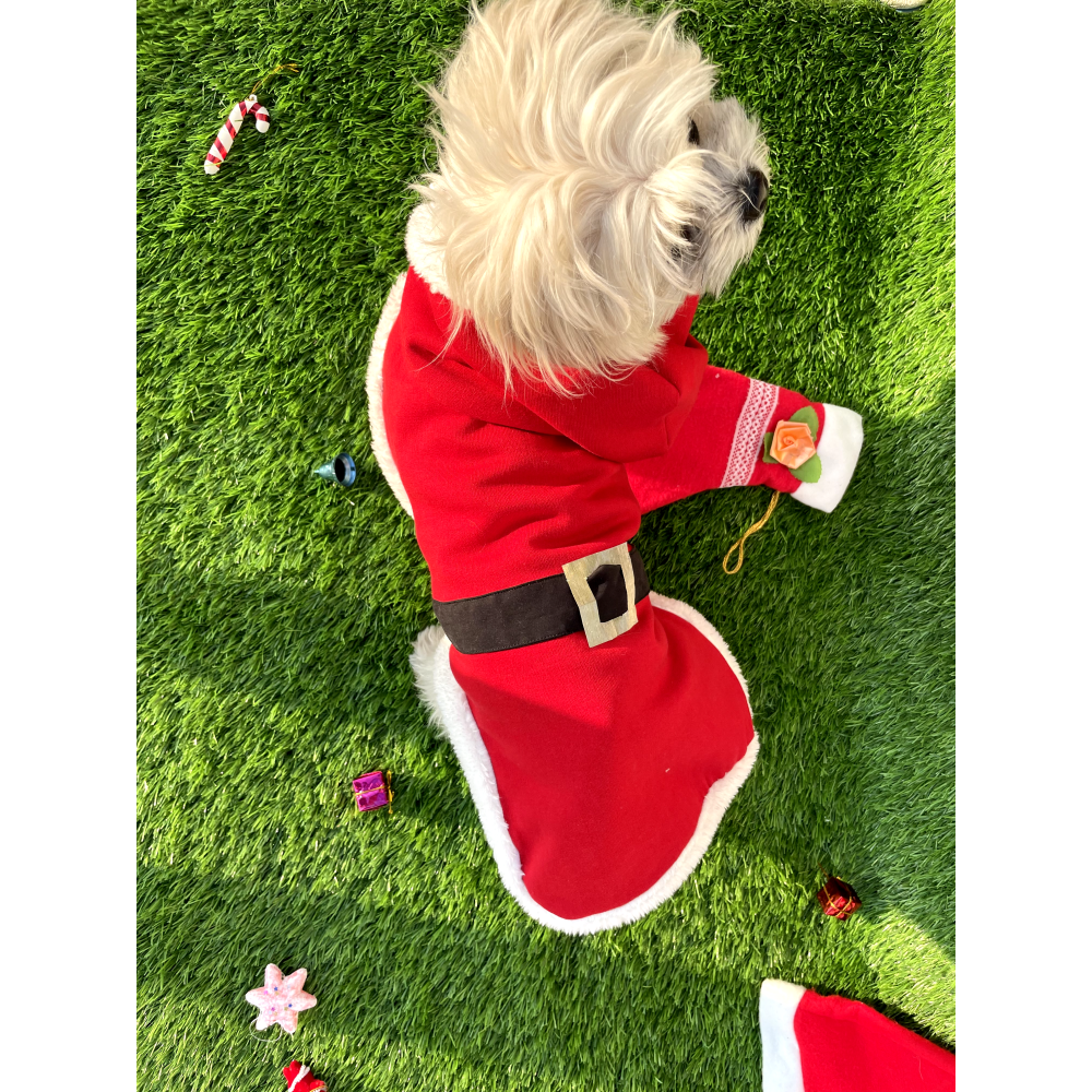 Dog 2025 santa coat