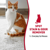 Nature’s Miracle Stain & Odor Remover for Cats (Melon Burst) Cats-Health & Wellness Natures Miracle