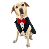 Dogobow Tuxedo Suit for Dogs and Cats (Black) (Get a Bow Free) Dogs-Clothing & Accessories Dogobow Dropship