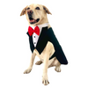 Dogobow Tuxedo Suit for Dogs and Cats (Black) (Get a Bow Free) Dogs-Clothing & Accessories Dogobow Dropship
