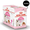 Royal Canin Kitten Gravy Cat Wet Food Cats-Wet Food Royal Canin 36x85g