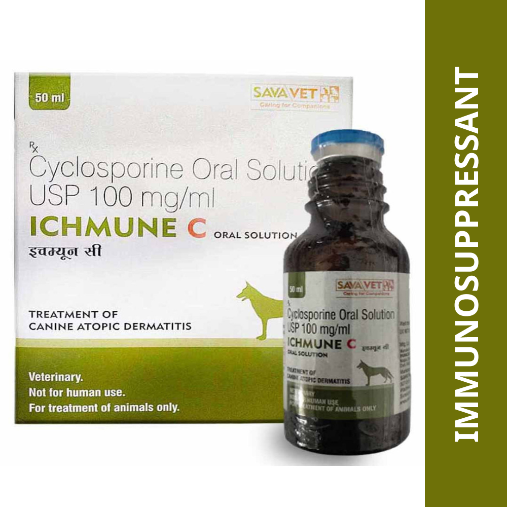 Cyclosporine use in 2024 dogs