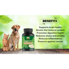 Cure By Design Lion Mane Mushroom Capsules for Dogs and Cats Both-Health & Wellness Cure by design