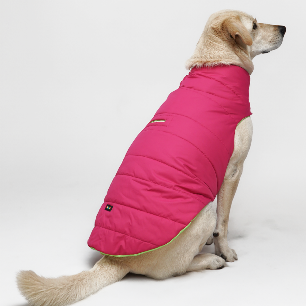 Puffer Coat Down Coats For Dogs Pawfect Shield Puffer Jacket Dark Grey
