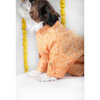 15 Furries Haldi Kurta for Dogs Dogs-Clothing & Accessories 15 Furries Dropship
