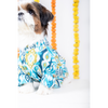15 Furries Nawab Kurta for Dogs Dogs-Clothing & Accessories 15 Furries Dropship