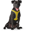 Hunter Hilo Comfort BVB Harness for Dogs (Yellow) Dogs-Collar, Leashes, harnesses Hunter Dropship