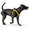 Hunter Hilo Comfort BVB Harness for Dogs (Yellow) Dogs-Collar, Leashes, harnesses Hunter Dropship
