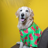15buttons Watermelon Shirt for Dogs Dogs-Clothing & Accessories 15buttons Dropship M