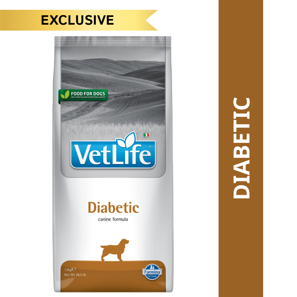 Diabetic dog food online