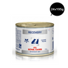 Royal Canin Recovery Canned Adult Pet Wet Food Dogs-Wet Food Royal Canin V-Diet 24x195g