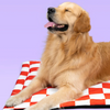Pet Set Go Cozy Checks Mat for Dogs and Cats (Red) Both-Bedding, Mats & Travel Supplies Pet Set Go Dropship