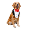 15buttons Tuxedo Bandana for Dogs Dogs-Clothing & Accessories 15buttons Dropship M