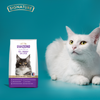 Signature Grain Zero Lavender Scented Cat Litter (Limited Shelf Life) Cats-Litter Signature