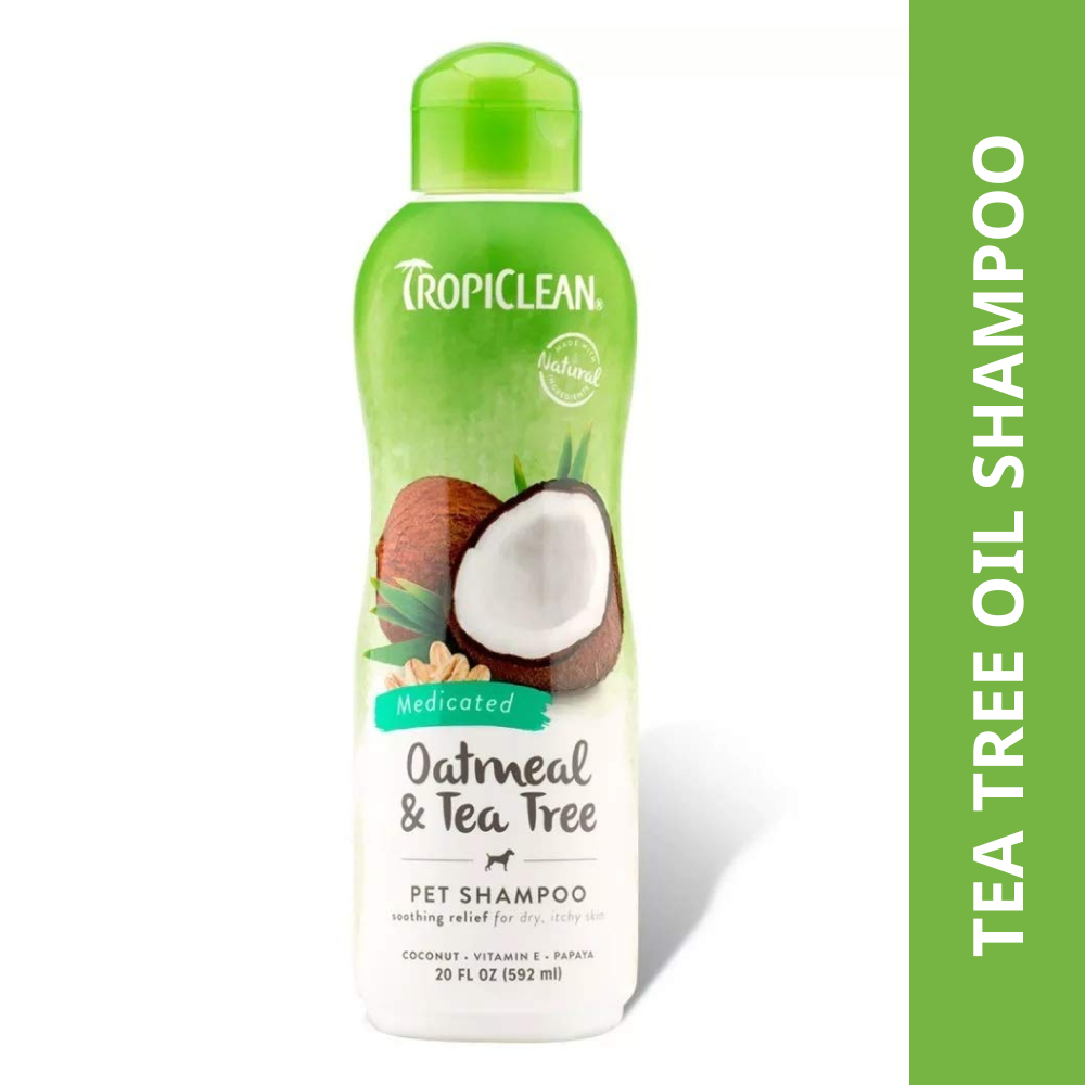 Tea tree online medicated shampoo