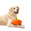 Skatrs Bootiful Pumpkin Plus Toy for Dogs and Cats Both-Toys Skatrs