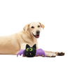 Skatrs Fang tastic Bat Plush Toy for Dogs and Cats Both-Toys Skatrs