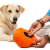 Skatrs Bootiful Pumpkin Plus Toy for Dogs and Cats Both-Toys Skatrs