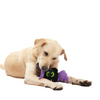 Skatrs Fang tastic Bat Plush Toy for Dogs and Cats Both-Toys Skatrs