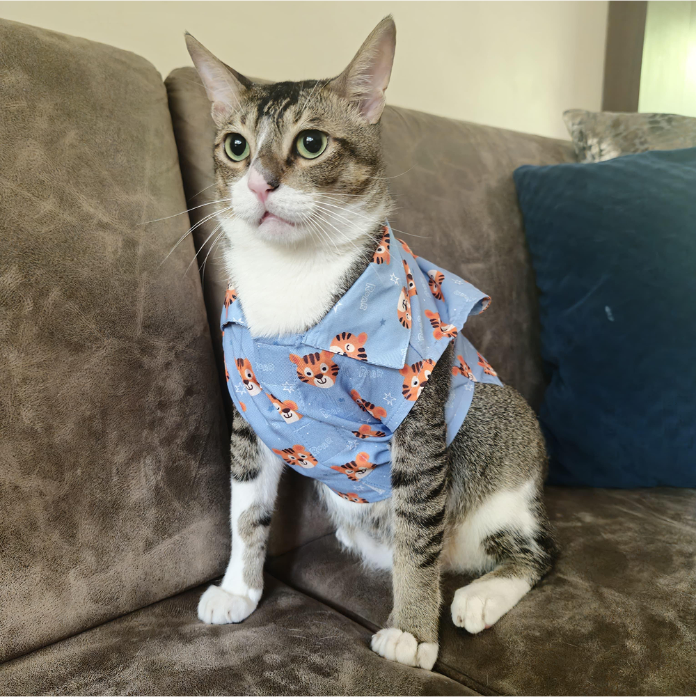 15 Furries Tiger Shirt for Cats (Orange and Blue) Supertails