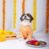 15 Furries Haldi Kurta for Dogs Dogs-Clothing & Accessories 15 Furries Dropship