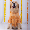 15 Furries Haldi Kurta for Dogs Dogs-Clothing & Accessories 15 Furries Dropship S
