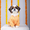 15 Furries Haldi Kurta for Dogs Dogs-Clothing & Accessories 15 Furries Dropship
