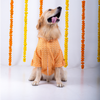 15 Furries Haldi Kurta for Dogs Dogs-Clothing & Accessories 15 Furries Dropship