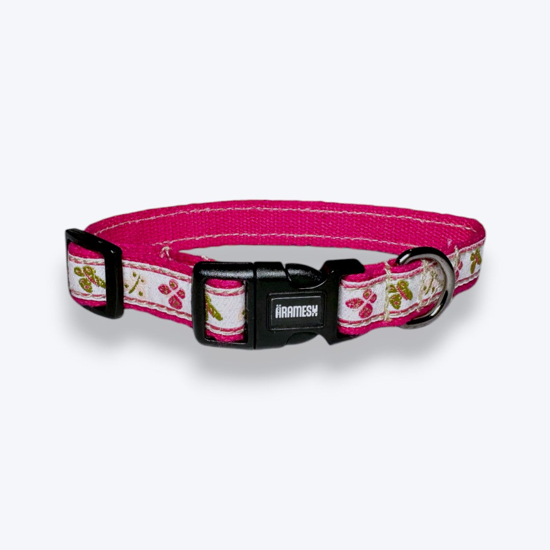 Beautiful view of Whisper Quiet Collars For Anxious Felines