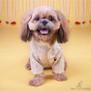 The Papaw Cartel Ivory Banarasi Work Kurta for Dogs & Cats Both-Clothing & Accessories The Papaw Cartel Dropship