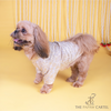 The Papaw Cartel Ivory Banarasi Work Kurta for Dogs & Cats Both-Clothing & Accessories The Papaw Cartel Dropship S