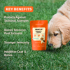 Absolut Pet Postbiotics to Boost Immunity Chews Dogs Treat