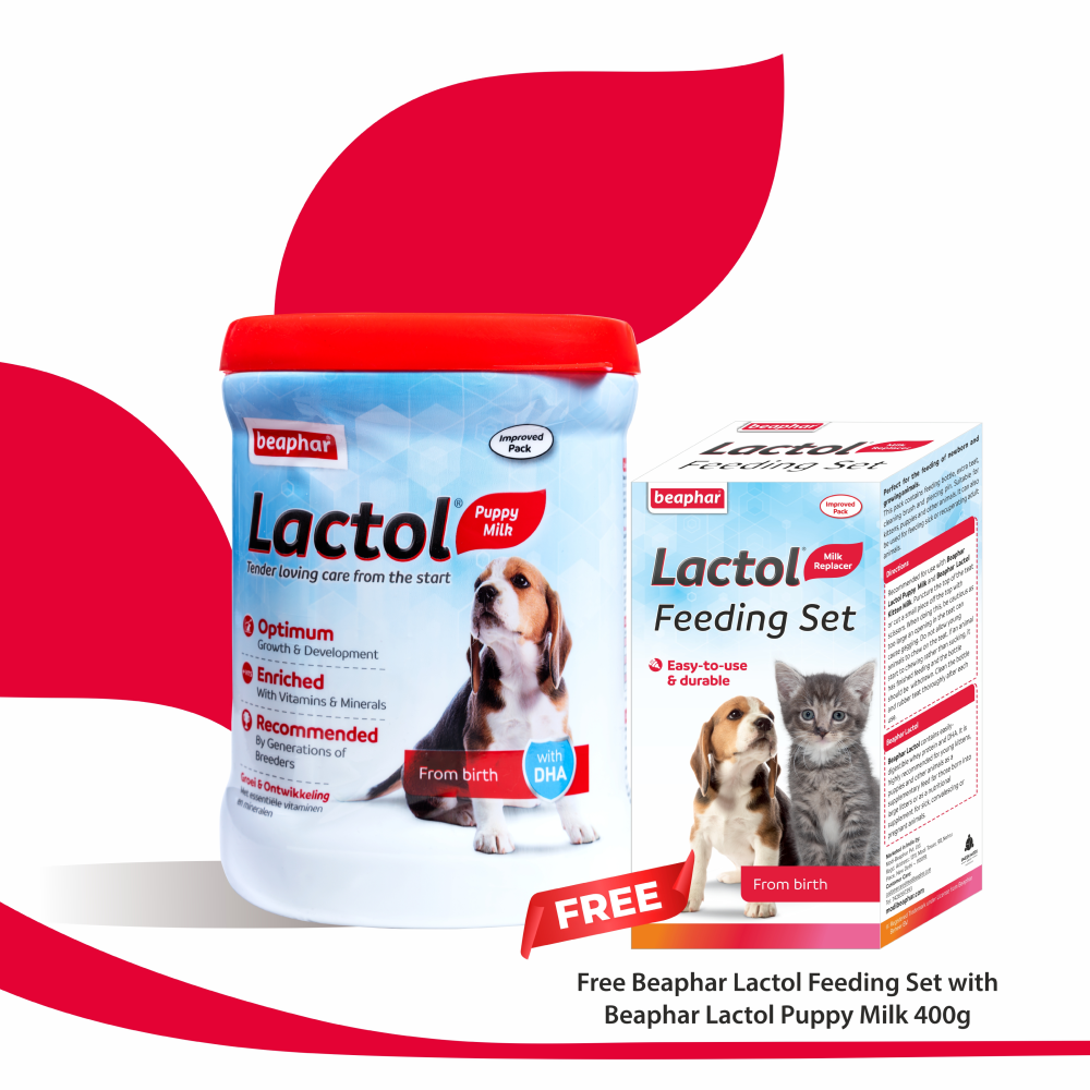 Lactol kitten milk powder hot sale