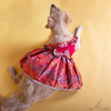 The Papaw Cartel Banarasi Brocade Festive Dress with Bow for Dogs & Cats (Multicolor) Both-Clothing & Accessories The Papaw Cartel Dropship S