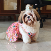 Pawsindia Traditional Desi Diva Lehenga Choli Set for Dogs (Pink) Dogs-Clothing & Accessories Pawsindia Dropship