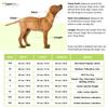 Pawgypets Heritage Kurta for Dogs and Cats (Off White/Orange) Both-Clothing & Accessories Pawgypets Dropship