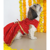 Pawgypets Velvet Lehenga for Dogs and Cats (Red) Both-Clothing & Accessories Pawgypets Dropship