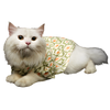 Pawgypets Heritage Kurta for Dogs and Cats (Off White/Orange) Both-Clothing & Accessories Pawgypets Dropship M