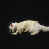 Pawgypets Heritage Kurta for Dogs and Cats (Off White/Orange) Both-Clothing & Accessories Pawgypets Dropship