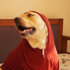 Pawgypets Heart Hoodie Sweatshirt for Dogs and Cats (Maroon) Both-Clothing & Accessories Pawgypets Dropship