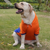 Pawgypets Stripe Hoodie Sweatshirt for Dogs and Cats (Orange/Blue) Both-Clothing & Accessories Pawgypets Dropship