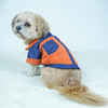 Pawgypets Denim Jacket for Dogs and Cats (Rust) Both-Clothing & Accessories Pawgypets Dropship M