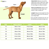 Pet Set Go Kurta for Dogs (Green) Dogs-Clothing & Accessories Pet Set Go Dropship