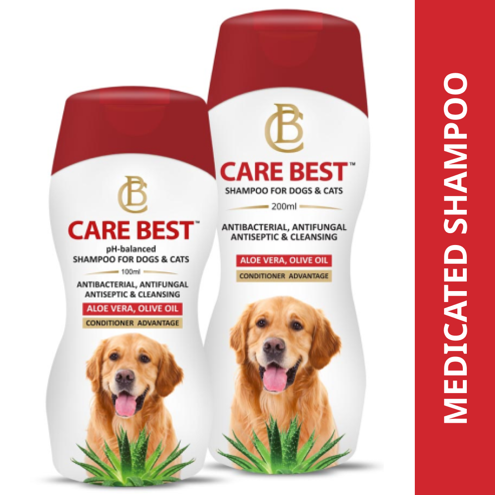 Good shampoo hot sale for golden retriever